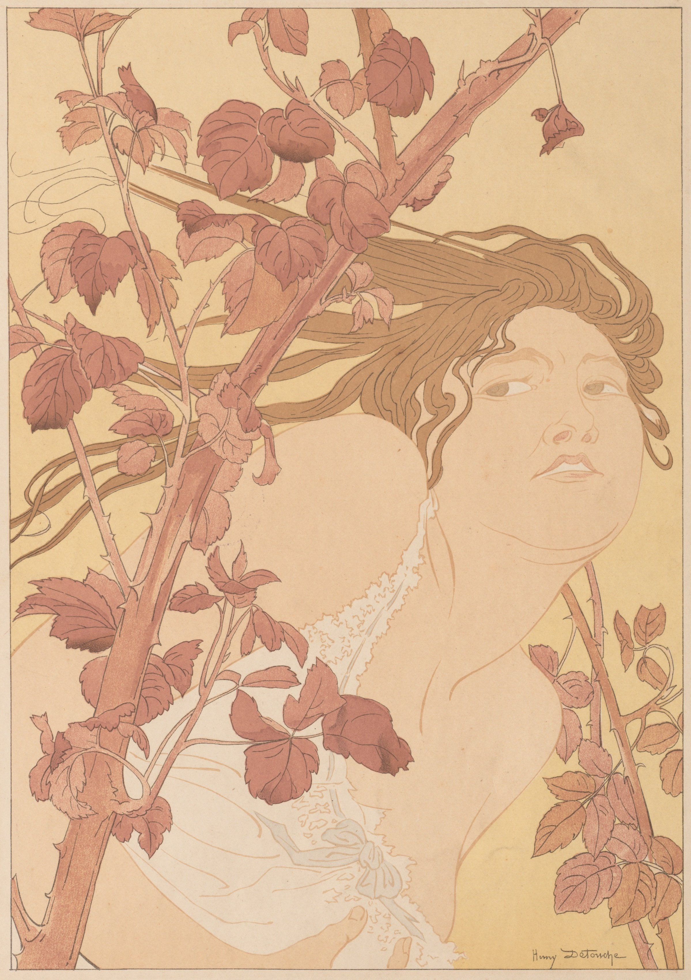 In the Brambles