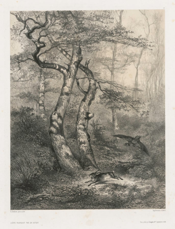 Hare Pursued by a Goshawk