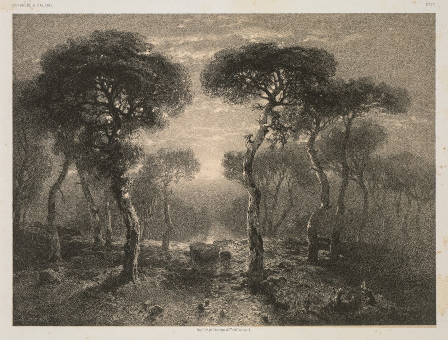 Oeuvres de A. Calame, No. 13: Forêt de Sierre en Valais