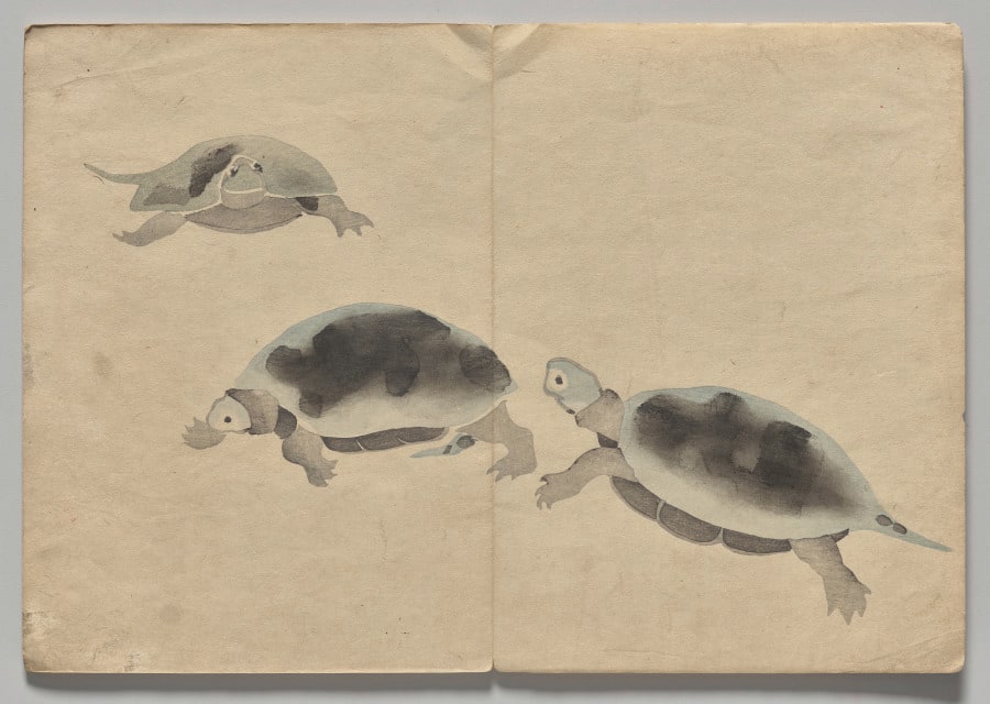 Scene from The Kōrin Picture Book (Volume 2)