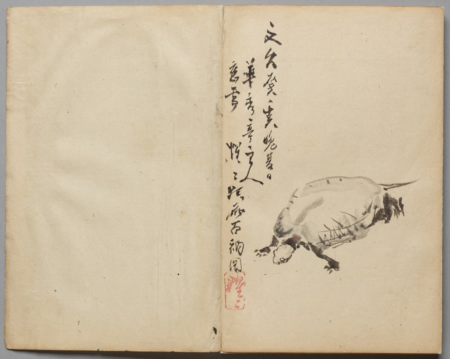 Tortoise from Sketch Album