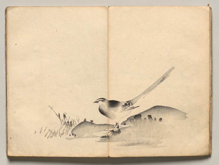Azure-Winged Magpie from Ōkyo Picture Book