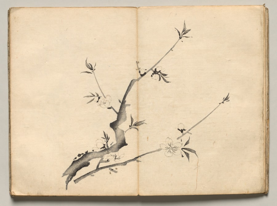 Cherry from Ōkyo Picture Book