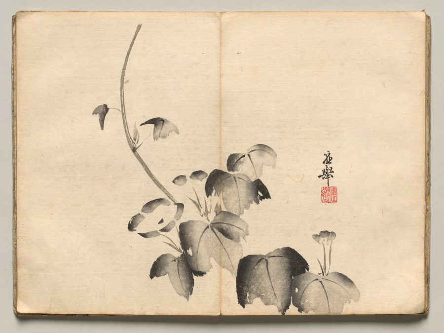 Morning Glory from Ōkyo Picture Book