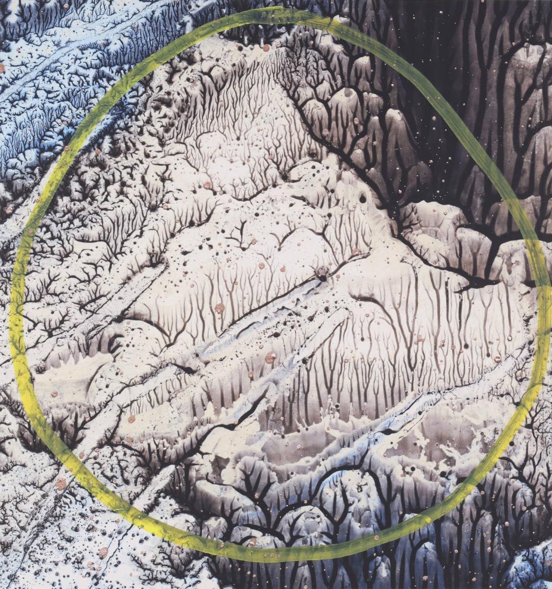 Zoomscape: Gerard, 2nd Generation