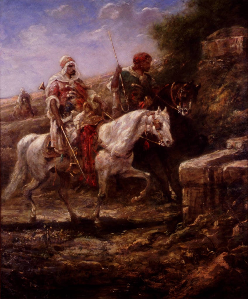 Arabian Horses