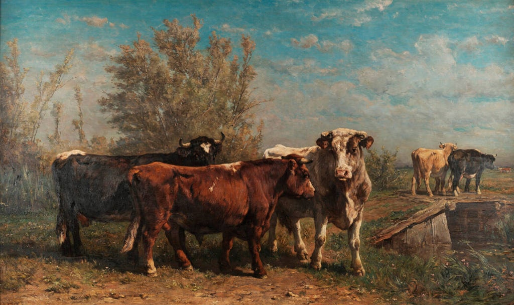 Cattle in the Meadows of Holland