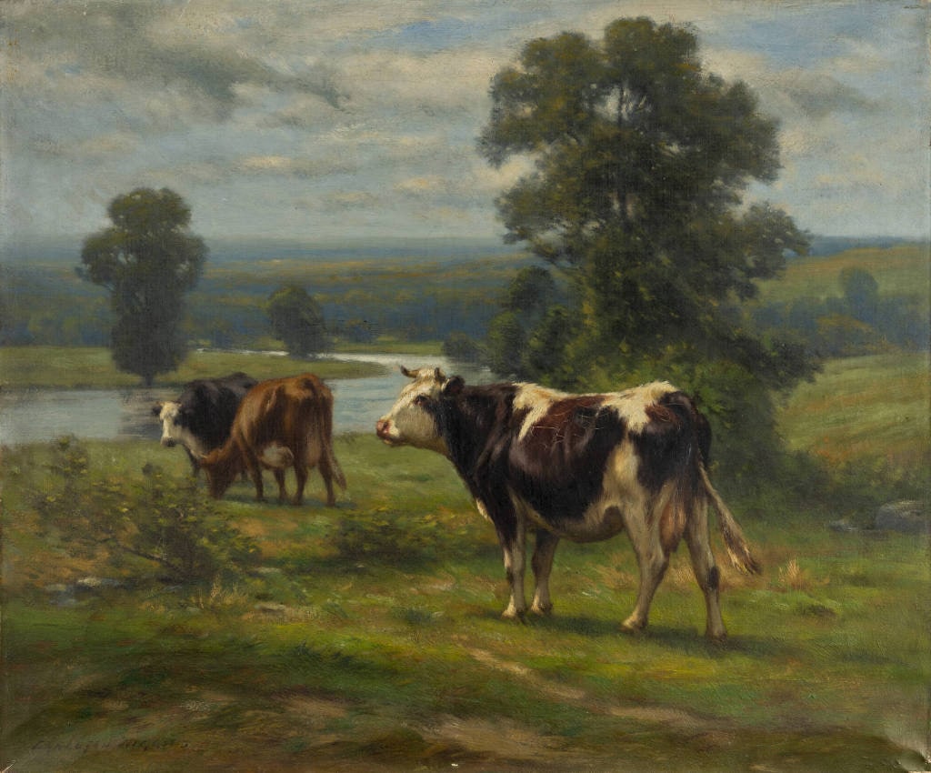 Cattle in the Meadows Wallkill Valley