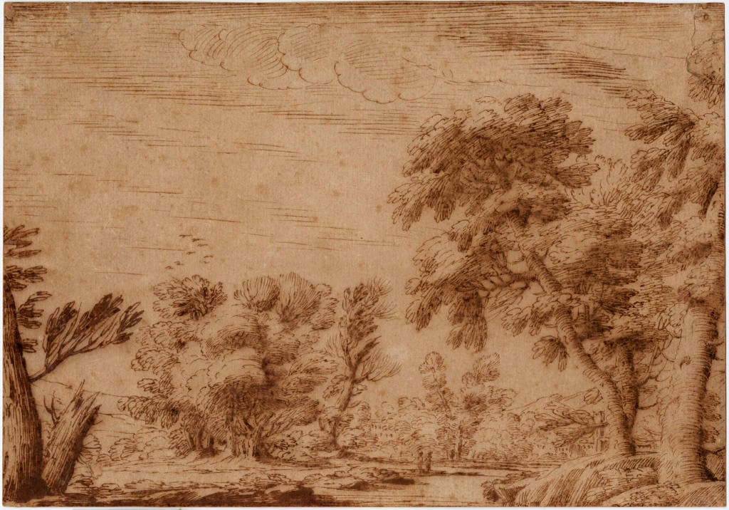 Landscape