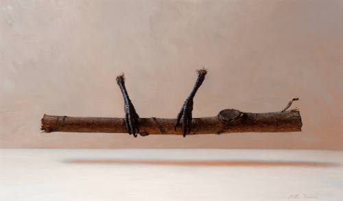 Crow Feet