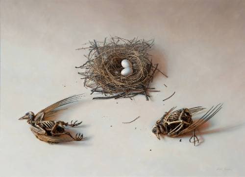 Life Cycle
