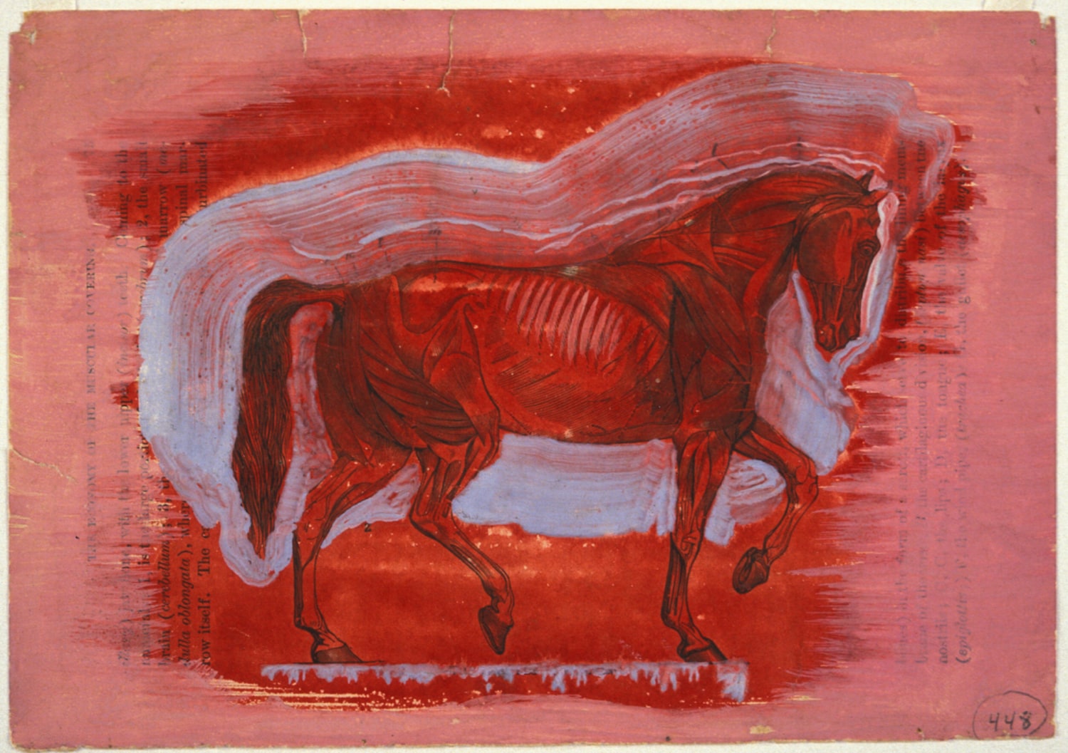 Red Horse