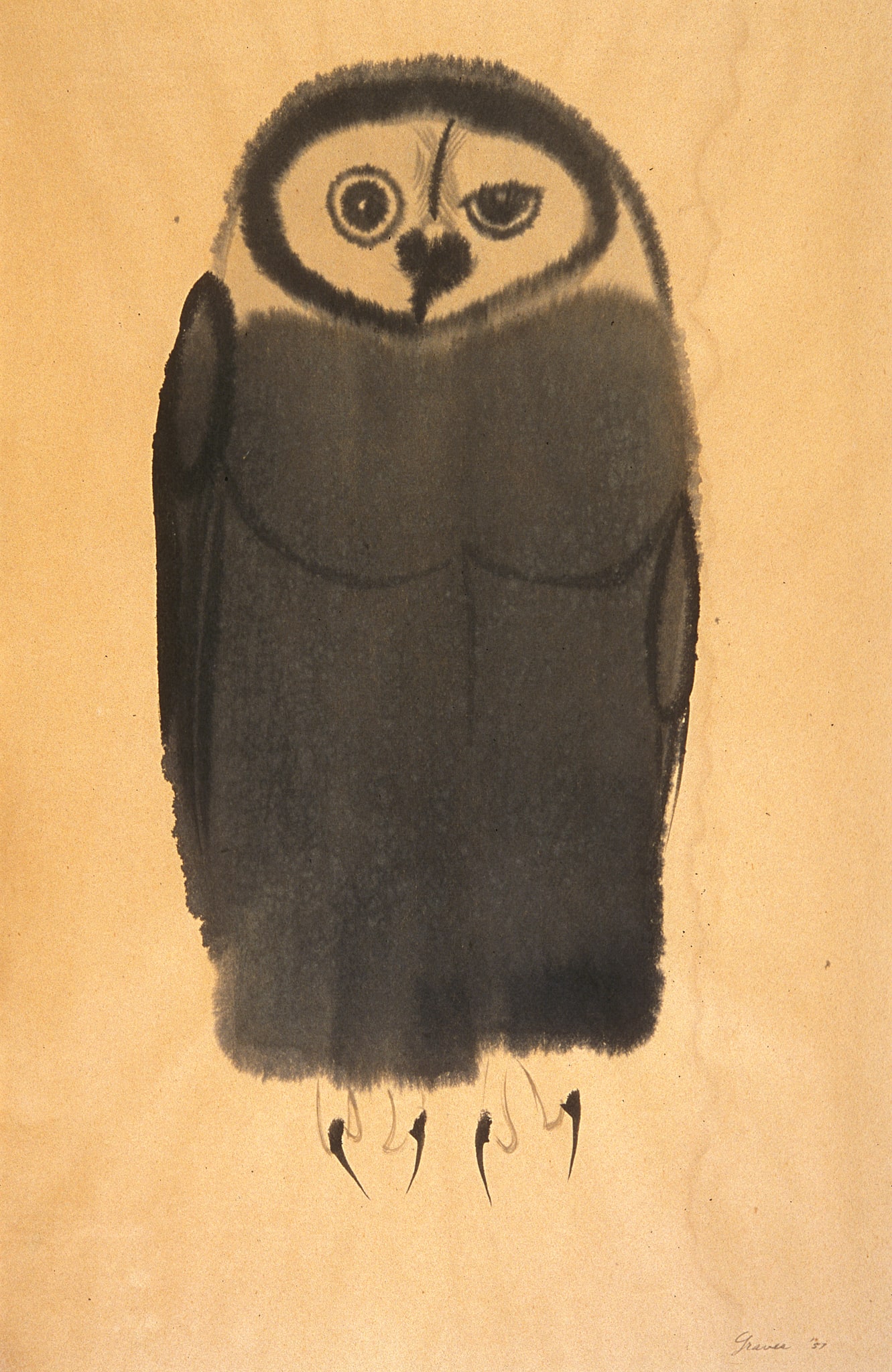 Owl