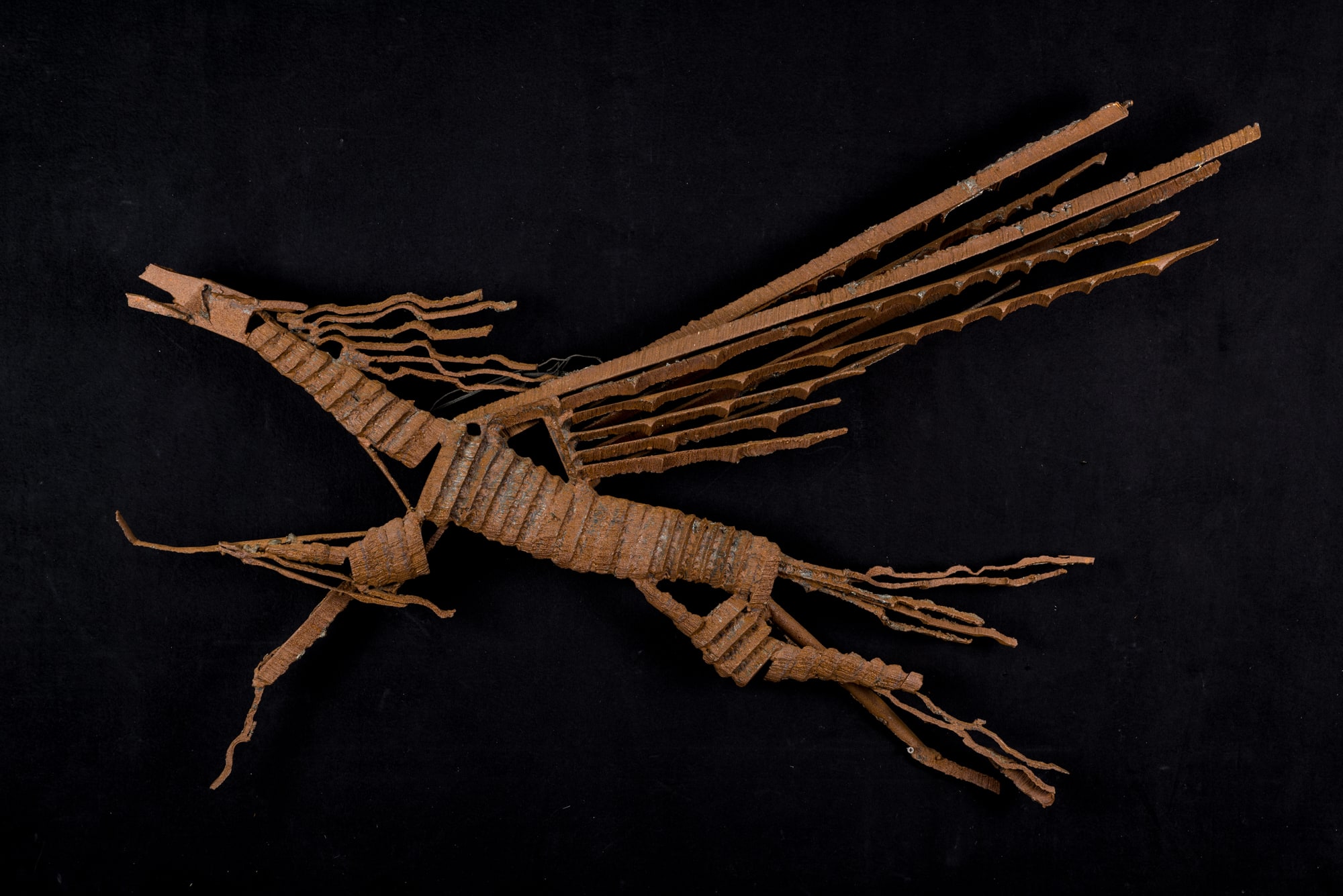 Flying Horse