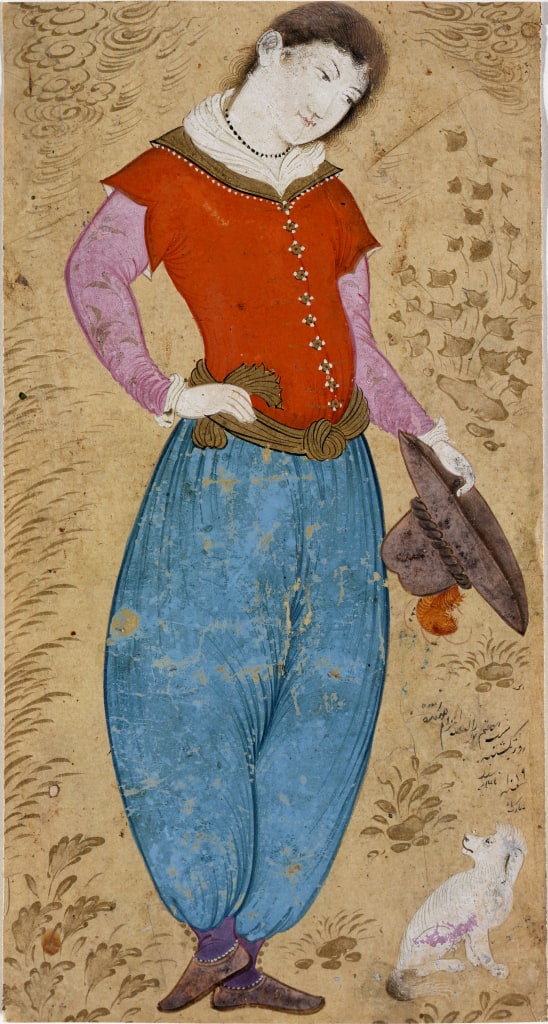 A European Youth with Hat and Dog