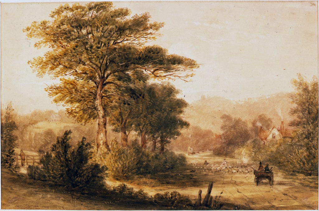 Landscape