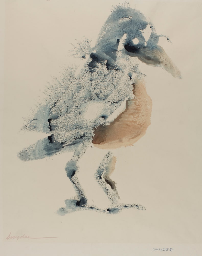 Young Robin