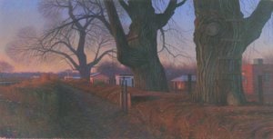 Old Cottonwood