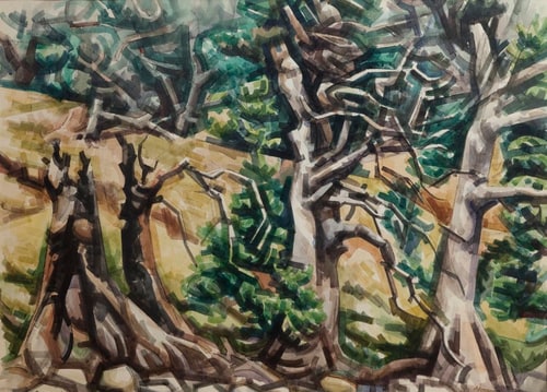 “Trees on Pedernales”