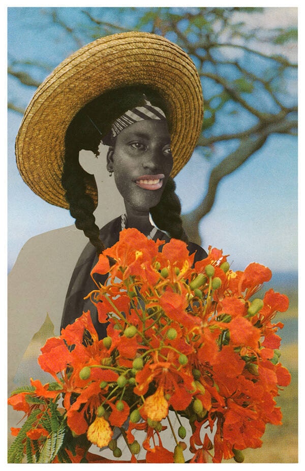 Ayoowiri/Girl with poinciana flowers