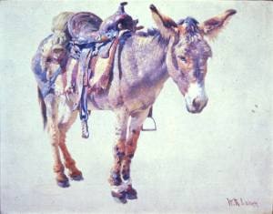 The Village Series #8