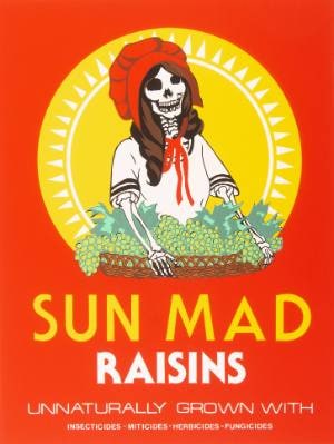 Sun Raid