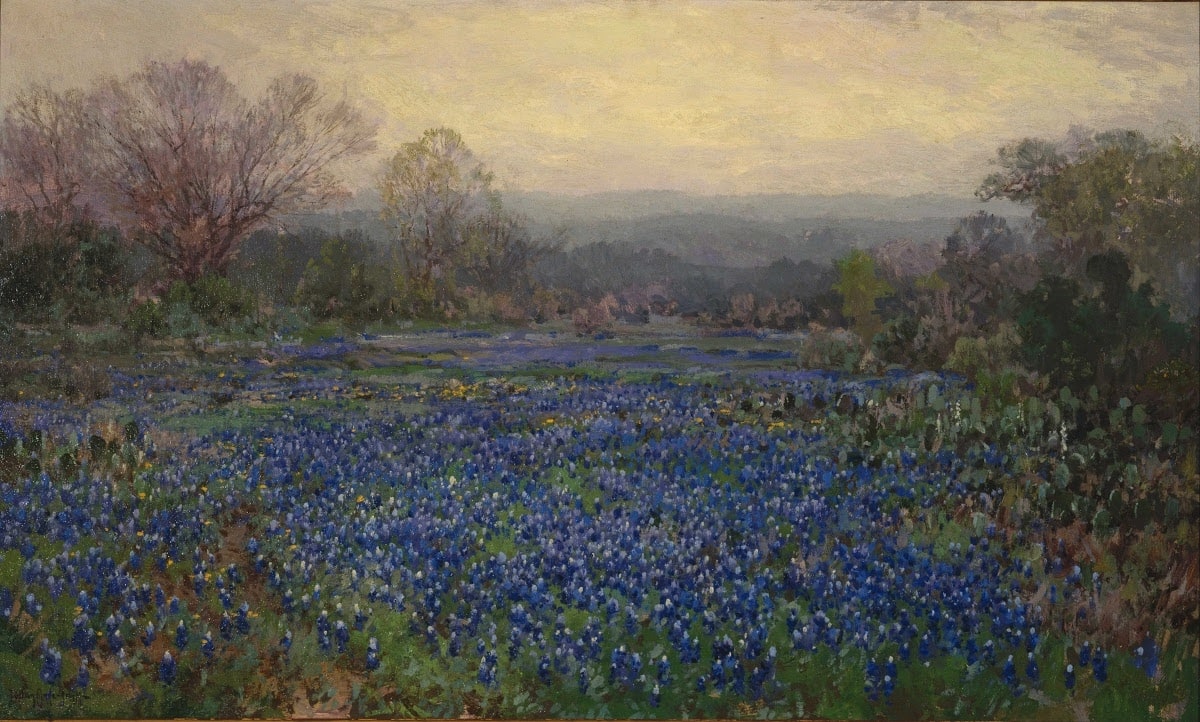 Untitled (Field of Bluebonnets)
