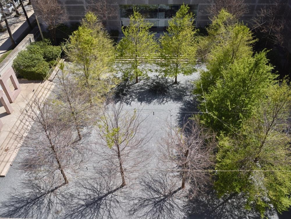 Courtyard Project for the Dallas Museum of Art