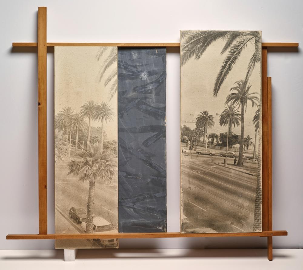 Sidewalk Palms