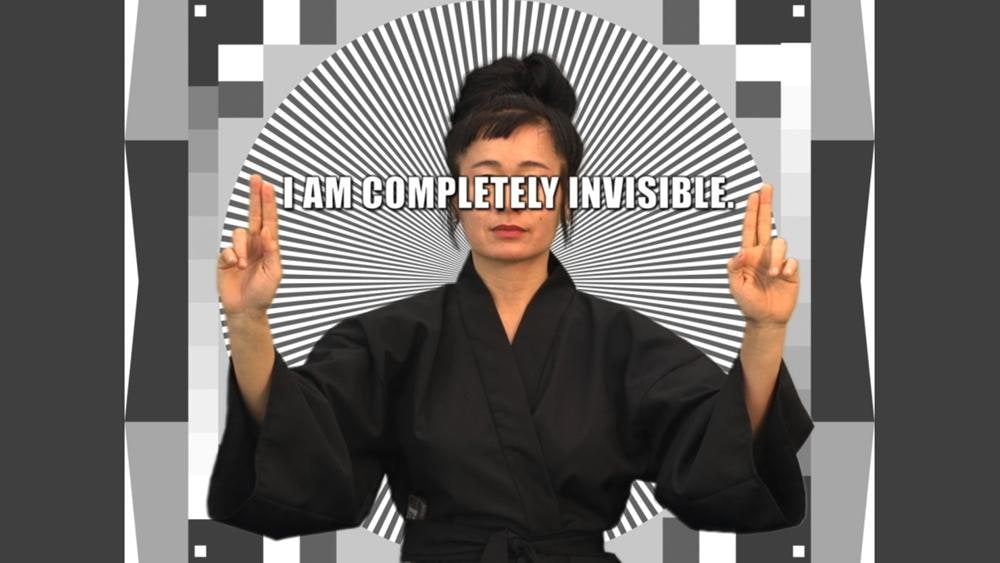 HOW NOT TO BE SEEN: A Fucking Didactic Educational .Mov File