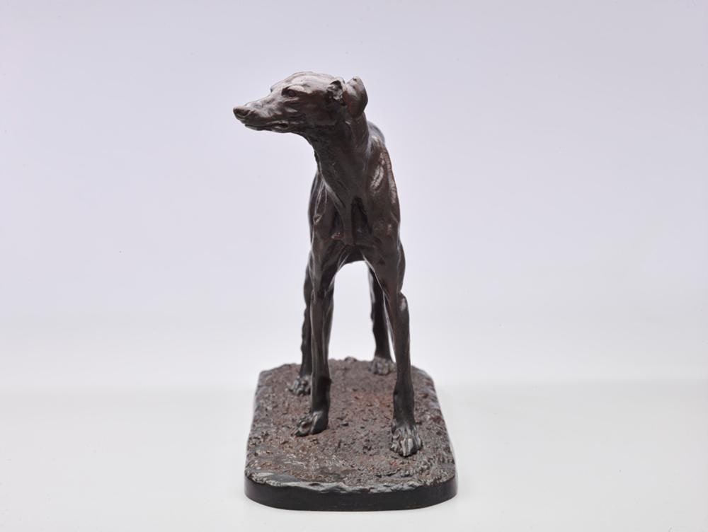 Spanish Greyhound