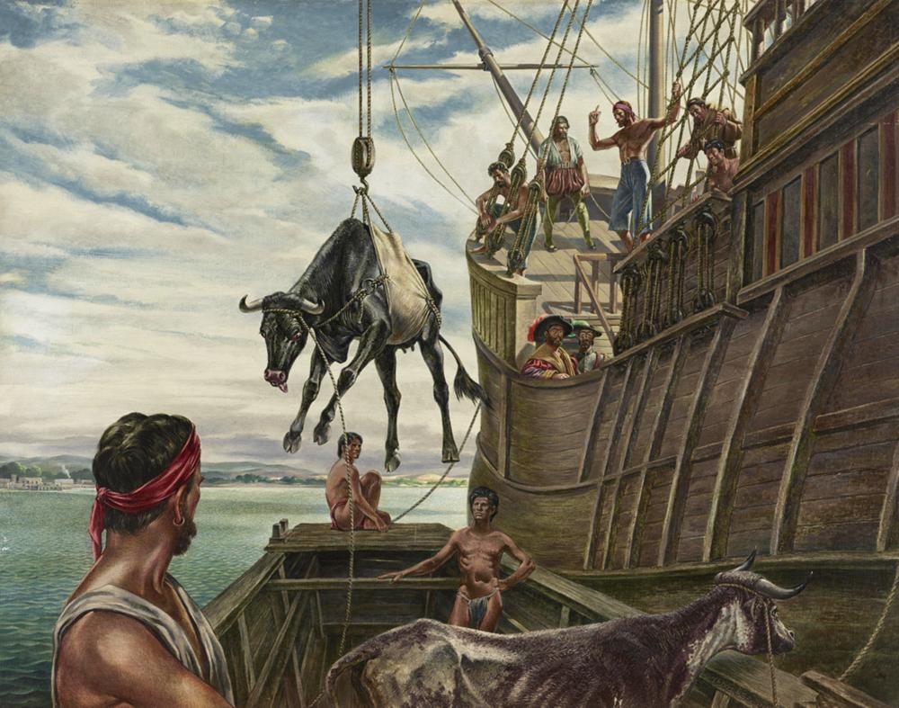 Unloading the First Cattle in North America, Vera Cruz, 1521