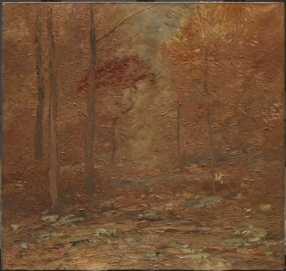Autumn Woods