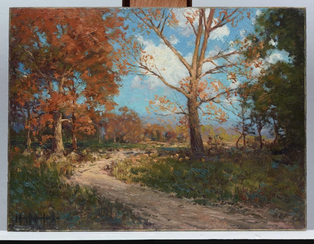 October Sunlight