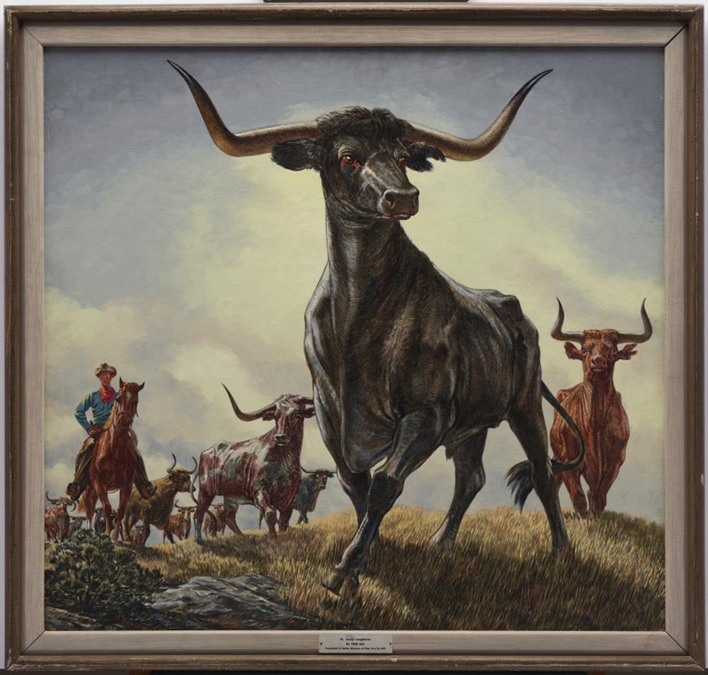 Texas Longhorns