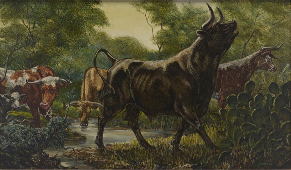 Wild Cattle of South Texas: Ancestors of the Longhorns