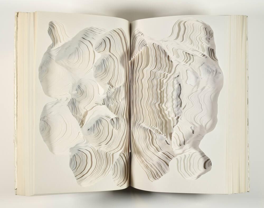 LACP 12 White Book