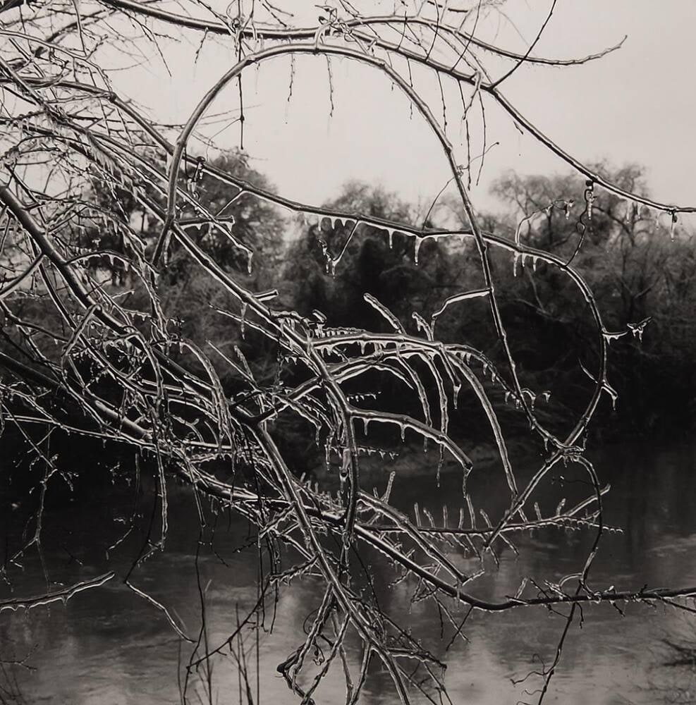 Buffalo Bayou