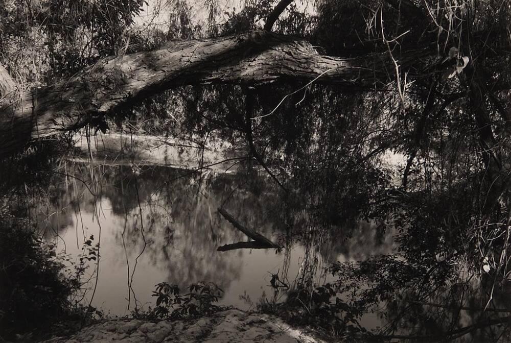 Buffalo Bayou