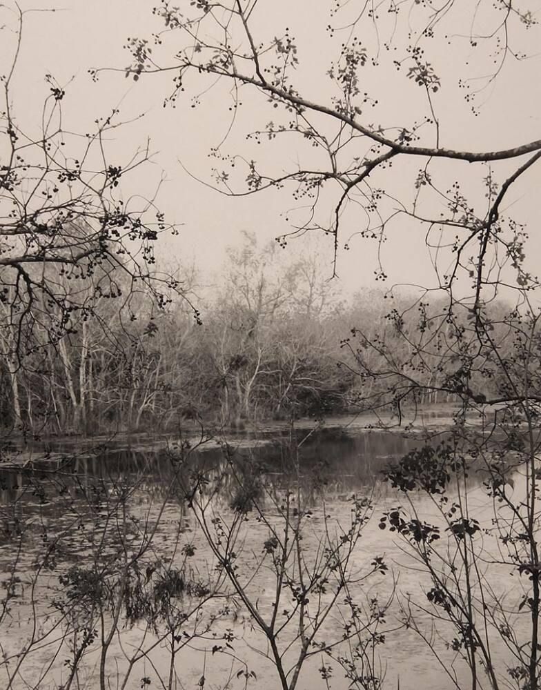 Ryan’s Pond, Buffalo Bayou