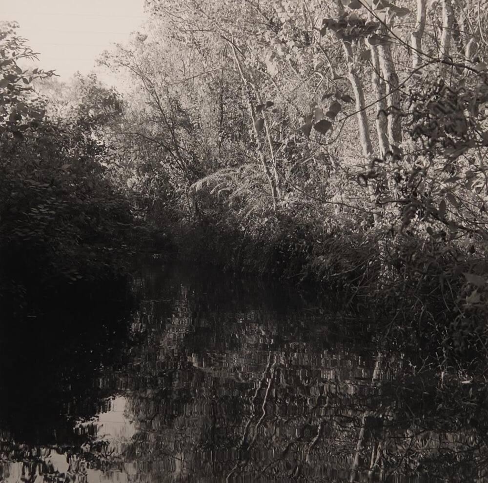 Cane Island Branch, Buffalo Bayou