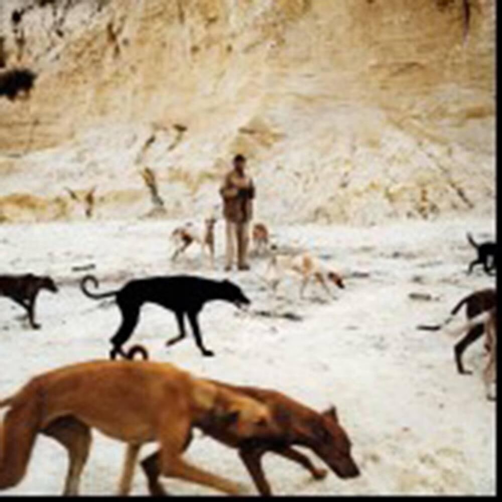 Daniel and the Hunting Dogs, Selby, Johannesburg