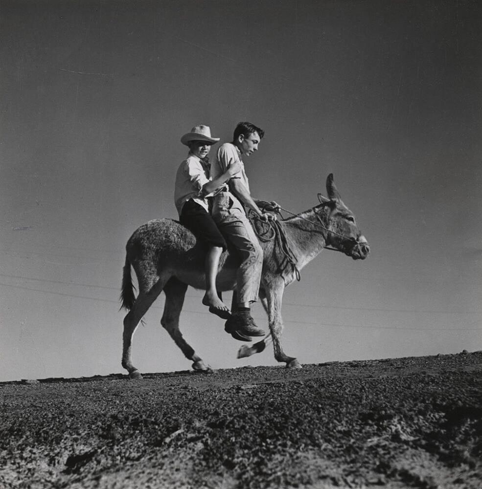 Humble camp- Children of Humble employees riding their pet donkey