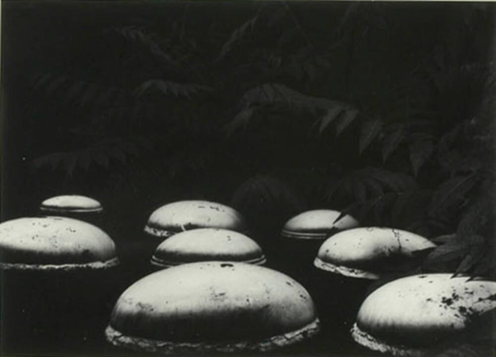 Cambridge 19, 1974