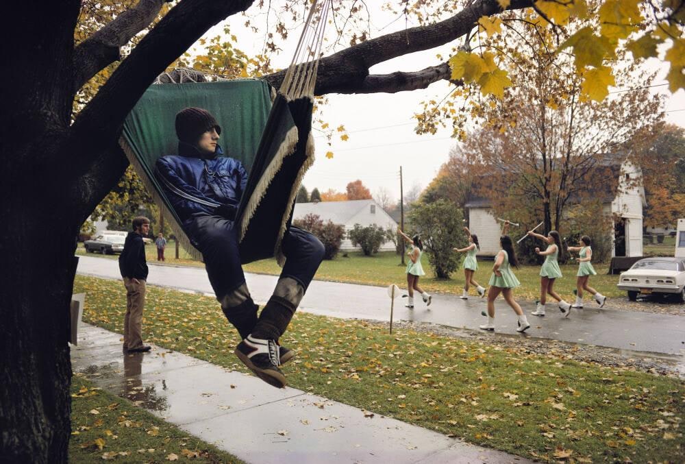 Tree Sitting Contest