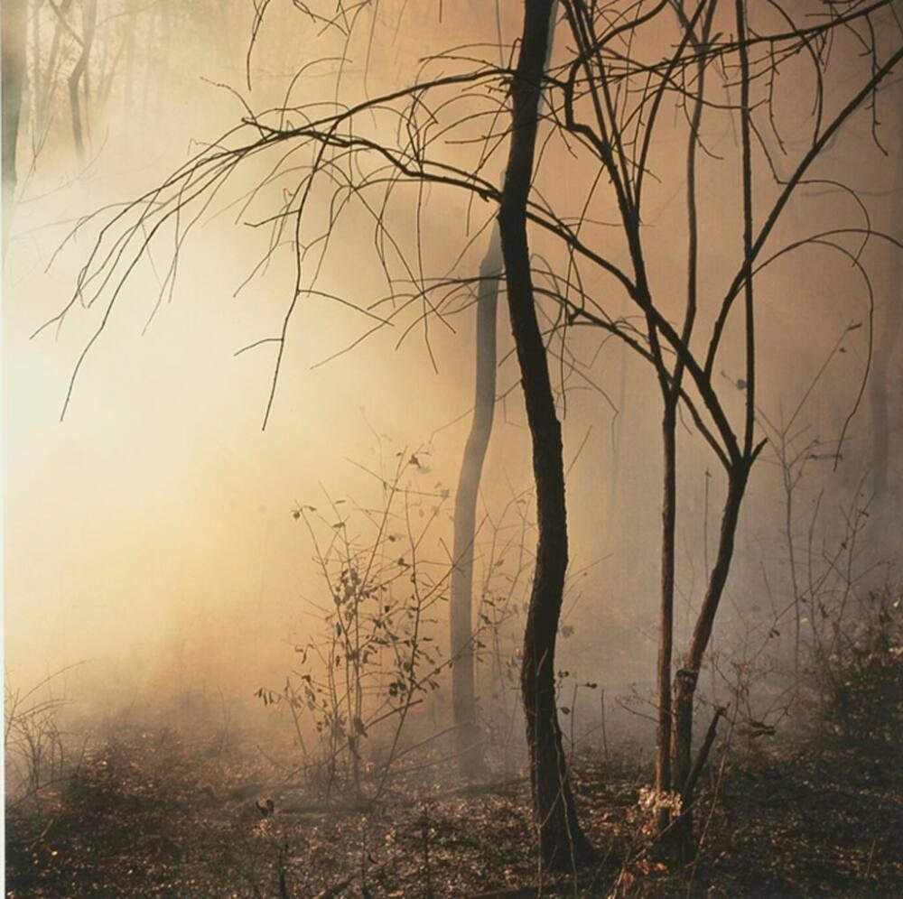 Burn No. 56