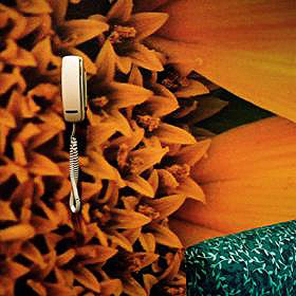 Phone on Sunflower, San Antonio