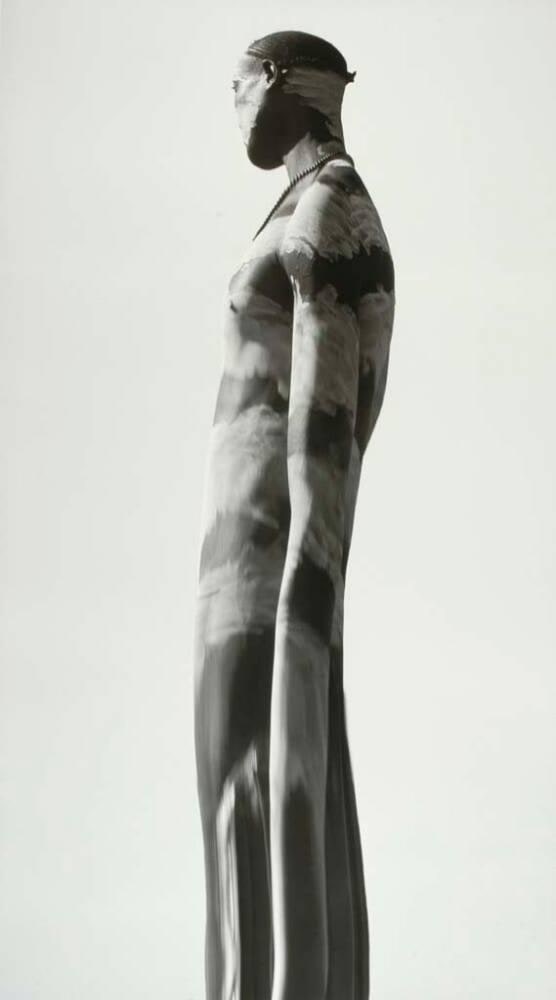 Animus #10