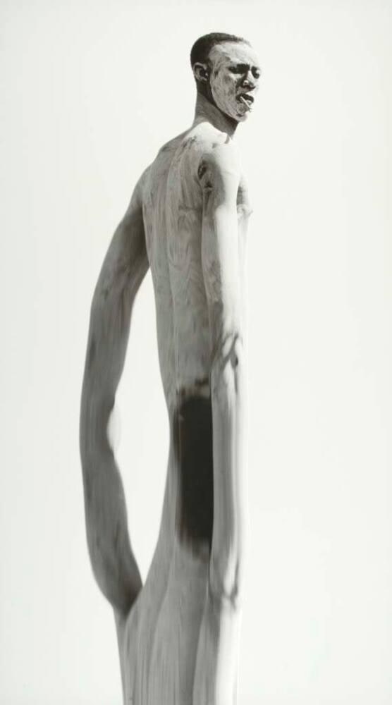 Animus #8