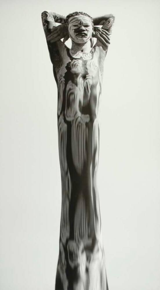 Animus #6